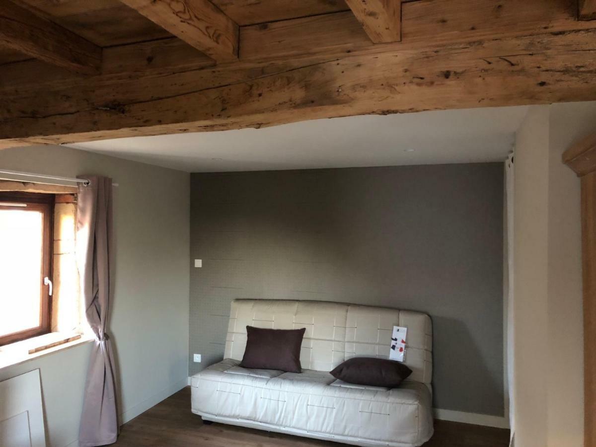 Saint-Etienne-des-Oullieres Domaine Des Dutreve 아파트 외부 사진